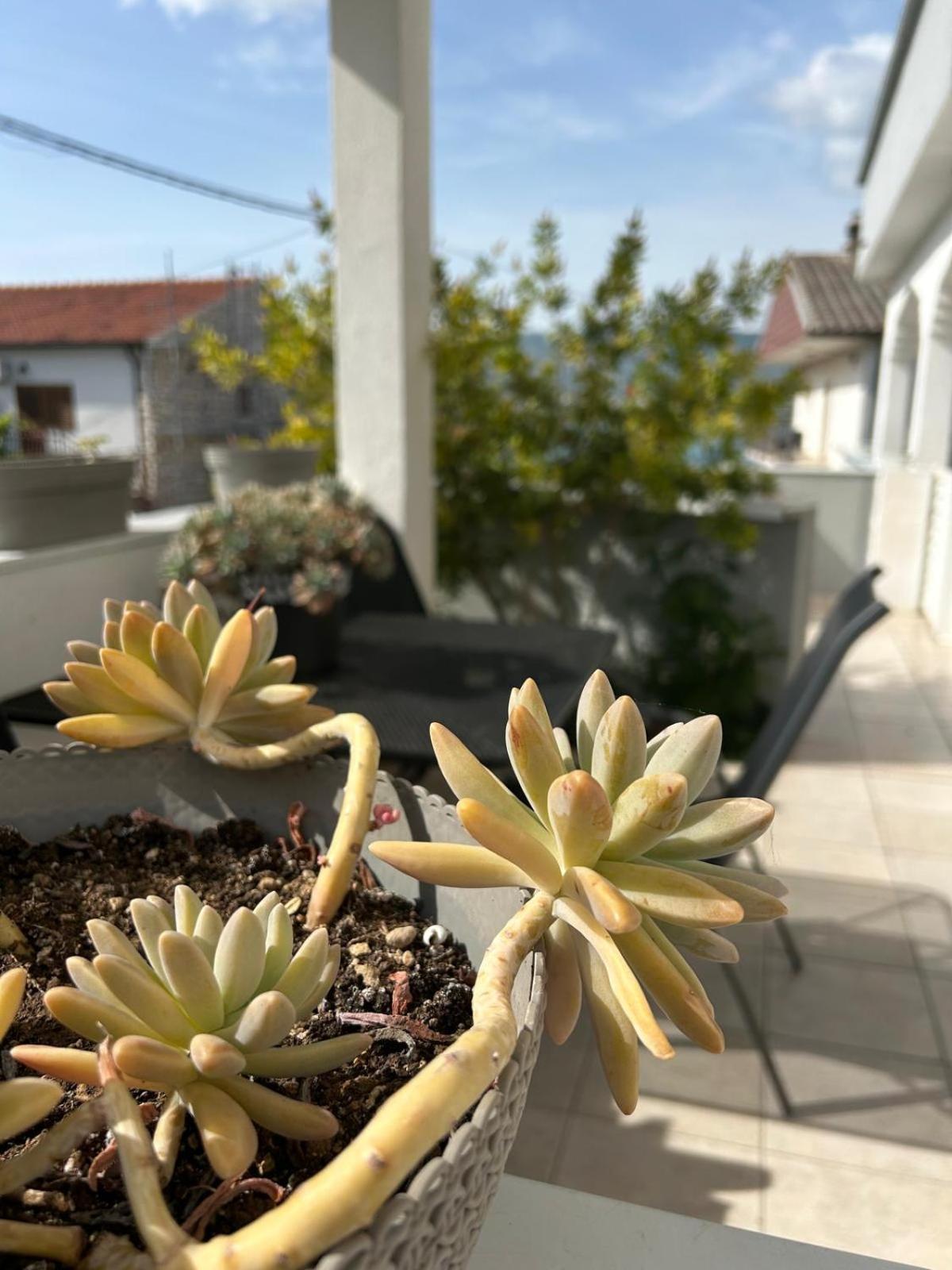Apartmani Grgic トロギール エクステリア 写真